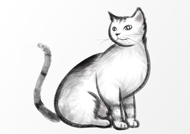 手绘猫