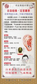 五官康养展架