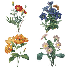 手绘花卉 