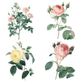 手绘花卉