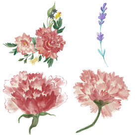 手绘花卉 