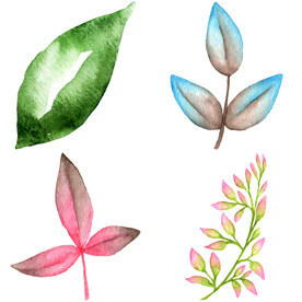 手绘叶子藤蔓  