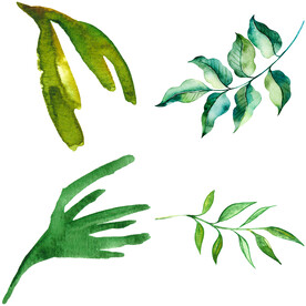 手绘叶子藤蔓