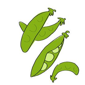 荷兰豆
