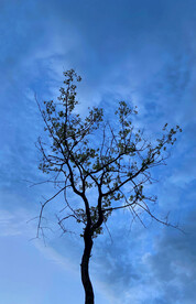 天空