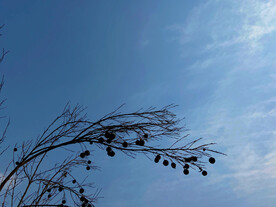 天空
