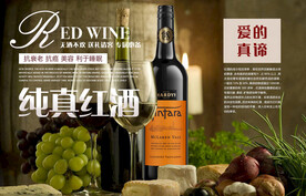葡萄酒海报