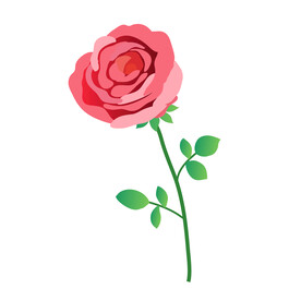 玫瑰花