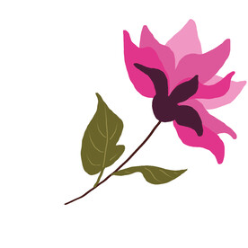 玉兰花 