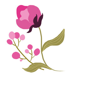 玫瑰花 