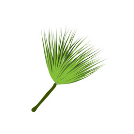 植物叶子