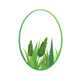 小清新边框 