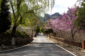 山村之春