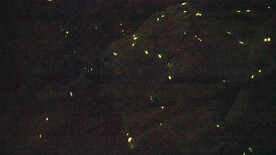 点点星光