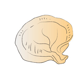 饺子