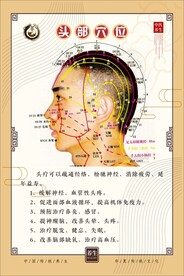 头部穴位图