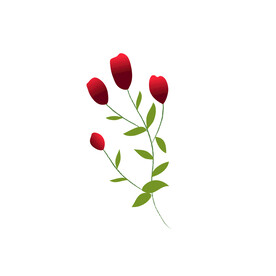 开花植物