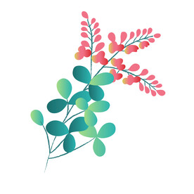 开花植物