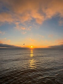 大海