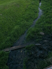 草地