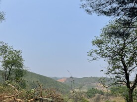 远山坡