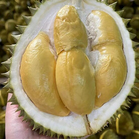 榴莲肉