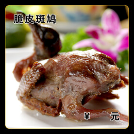 脆皮斑鸠