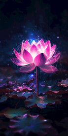 荷塘夜色