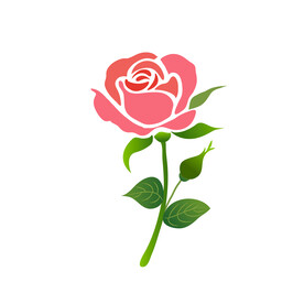 玫瑰花