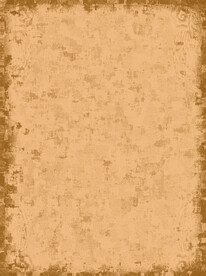 纸纹