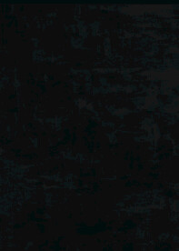纸纹
