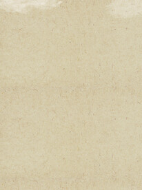 纸纹