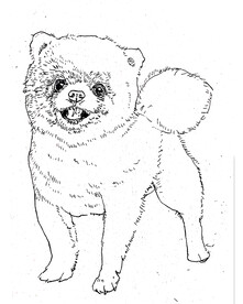 小狗