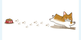 小狗
