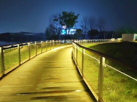 灯光路面夜景