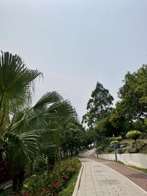 小道风景