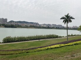 植物风景