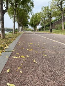 跑道风景