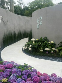 绣球花