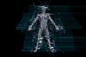 3D数字人体