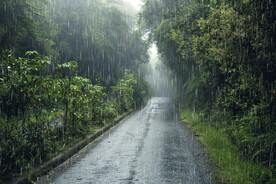 雨中道路