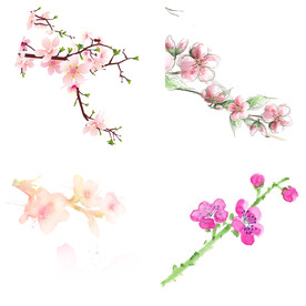 桃花 