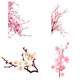 桃花 
