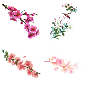 桃花 