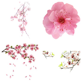 桃花 