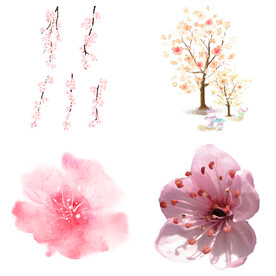桃花 