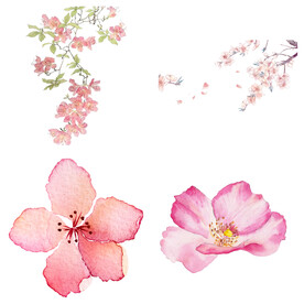 桃花 