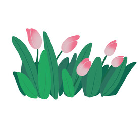 郁金香花边