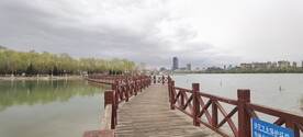 湖   桥  晴天