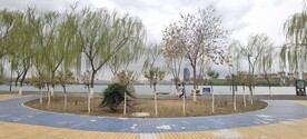 公园   蓝天  桥  晴天